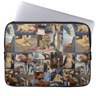 Housse Pour Ordinateur Portable Collage photo Kitten, Manche d'ordinateur portable