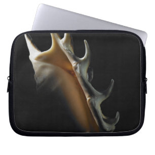 Housse Pour Ordinateur Portable Coquille de conque