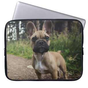Housse Pour Ordinateur Portable Coussin de lancer Bouledogue Français
