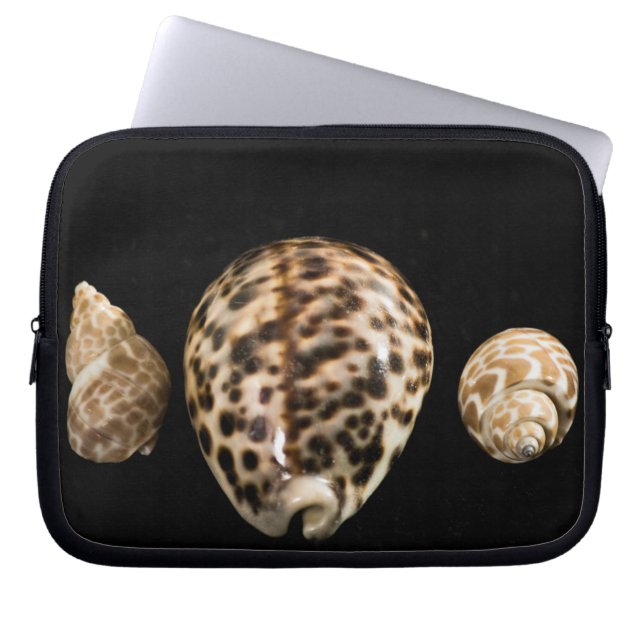 Housse Pour Ordinateur Portable Cowrie Cones 2 Manches Portable (Devant)
