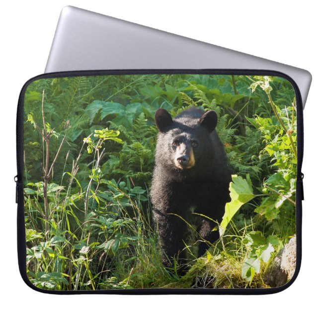 Housse Pour Ordinateur Portable Curieux ours noir (Devant)