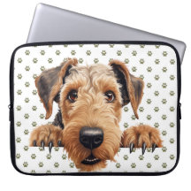 CUT PEEKING BROWN AIREDALE TERRIER CHIEN