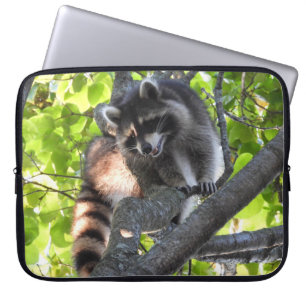 Housse Pour Ordinateur Portable Cute Raccoon dans un arbre
