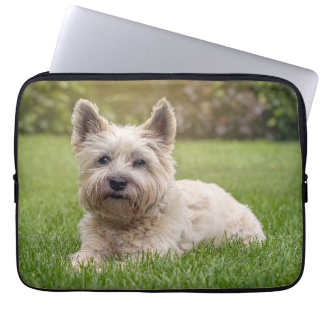 Housse Pour Ordinateur Portable Cutest Baby Animals | Cairn Terrier Dog (Devant)
