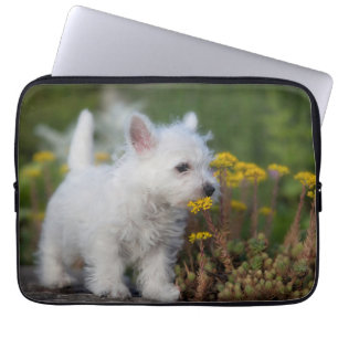 Housse Pour Ordinateur Portable Cutest Baby Animals West Highland White Terrier