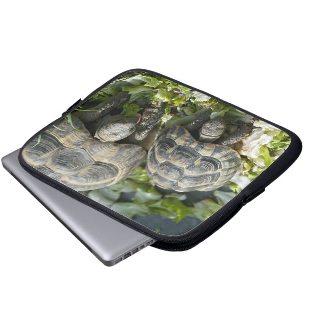 Housse Pour Ordinateur Portable De mignons tortues (Devant bas)