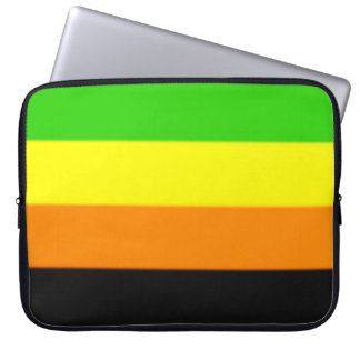 Housse Pour Ordinateur Portable Drapeau de la Fierté Aromantique