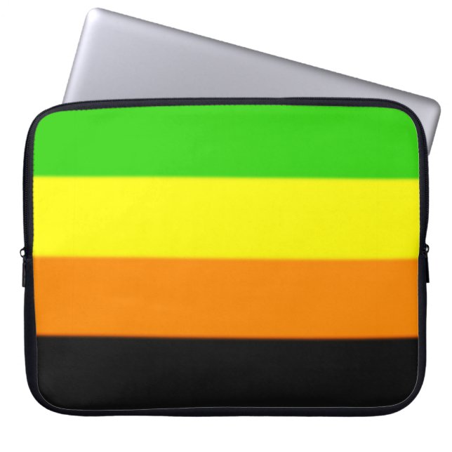 Housse Pour Ordinateur Portable Drapeau de la Fierté Aromantique (Devant)