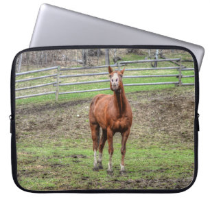 Housse Pour Ordinateur Portable Drôle Chestnut Stallion Horse Whinnnnnning Photo