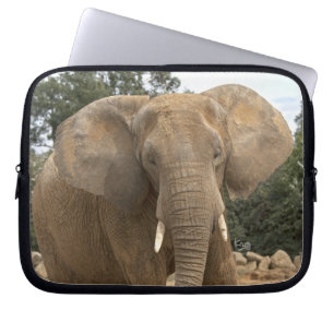 Housse pour ordinateur portable Dumbo Electronics