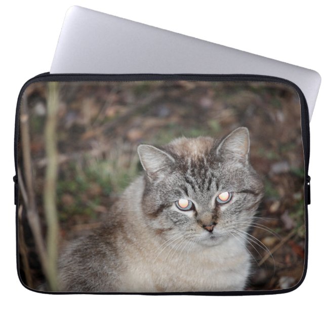 Housse Pour Ordinateur Portable Éffrayant (Devant)