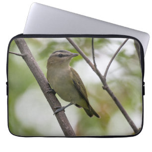 Housse Pour Ordinateur Portable Élégance d'émeraude : Vireo à l'oeil rouge