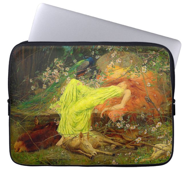 Housse Pour Ordinateur Portable Fairy Tale Arthur Wardle (Devant)