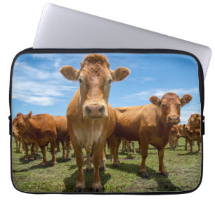 Housse Pour Ordinateur Portable Farms Brown cow
