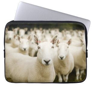 Housse Pour Ordinateur Portable Fermes   Troupeau de moutons