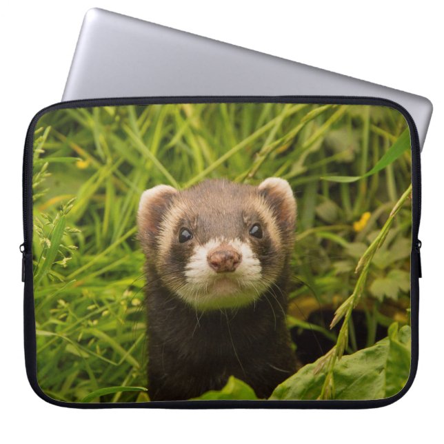 Housse Pour Ordinateur Portable Ferret Brown mignon dans l'herbe photo (Devant)