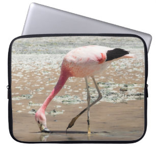 HOUSSE POUR ORDINATEUR PORTABLE FLAMANT ROSE ROSE SUR LE CORPS D'EAU