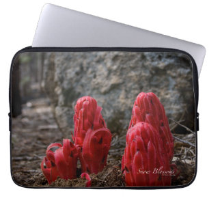 Housse Pour Ordinateur Portable Fleurs de neige