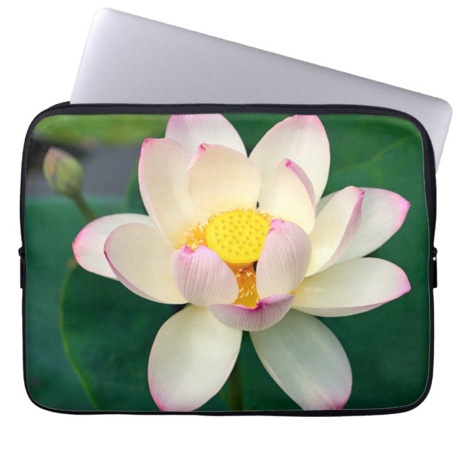 Housse Pour Ordinateur Portable Fleurs | Lotus Water Flower (Devant)