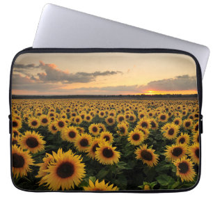 Housse Pour Ordinateur Portable Fleurs   Terrain de tournesol