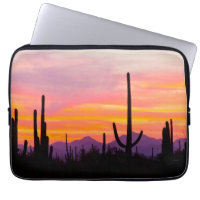 Forêt de cactus saguaro au coucher du soleil