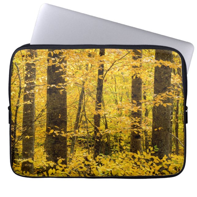 Housse Pour Ordinateur Portable Forêt nationale de Fall Pisgah (Devant)