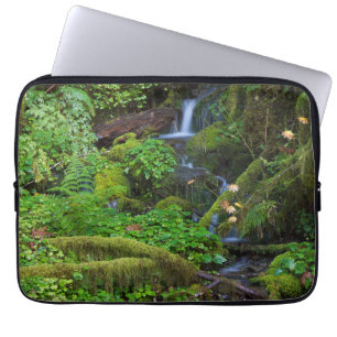 Housse Pour Ordinateur Portable Forêt tropicale humide d'automne   Parc national O