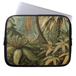 Housse Pour Ordinateur Portable Fougères Palmier Antique Botanique Fougères Art