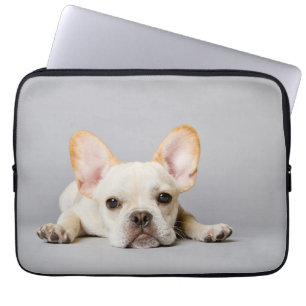 Housse Pour Ordinateur Portable French Bulldog Lying Down
