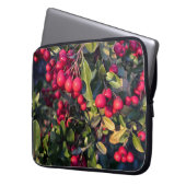 Housse Pour Ordinateur Portable Fruit d'automne (devant gauche)