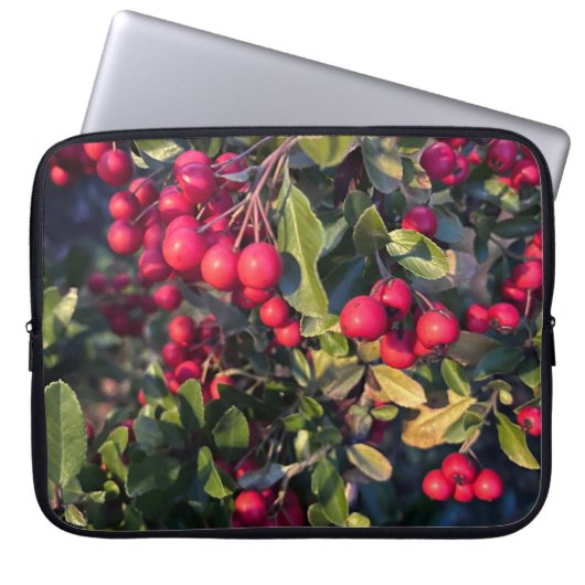Housse Pour Ordinateur Portable Fruit d'automne (Devant)