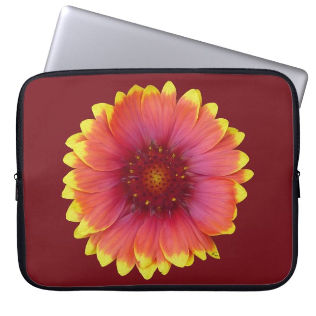 Housse Pour Ordinateur Portable Gaillardia 1 (Devant)
