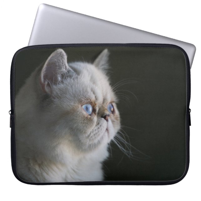 HOUSSE POUR ORDINATEUR PORTABLE GAZE BLEUE (Devant)
