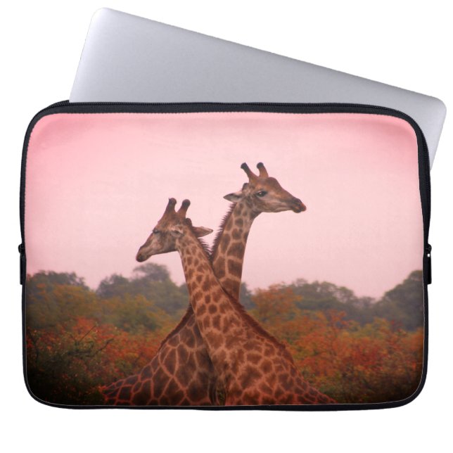 Housse Pour Ordinateur Portable Girafe debout dans les mopani avec ciel rose (Devant)