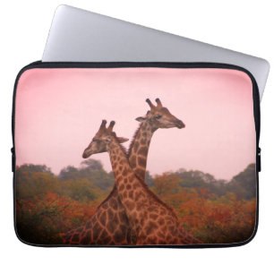 Housse Pour Ordinateur Portable Giraffes