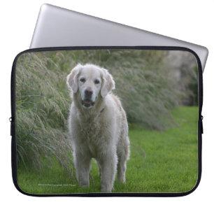 Housse Pour Ordinateur Portable Golden retriever courant 2
