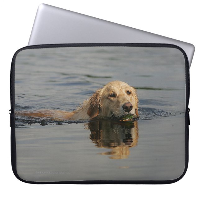 Housse Pour Ordinateur Portable Golden retriever nageant (Devant)