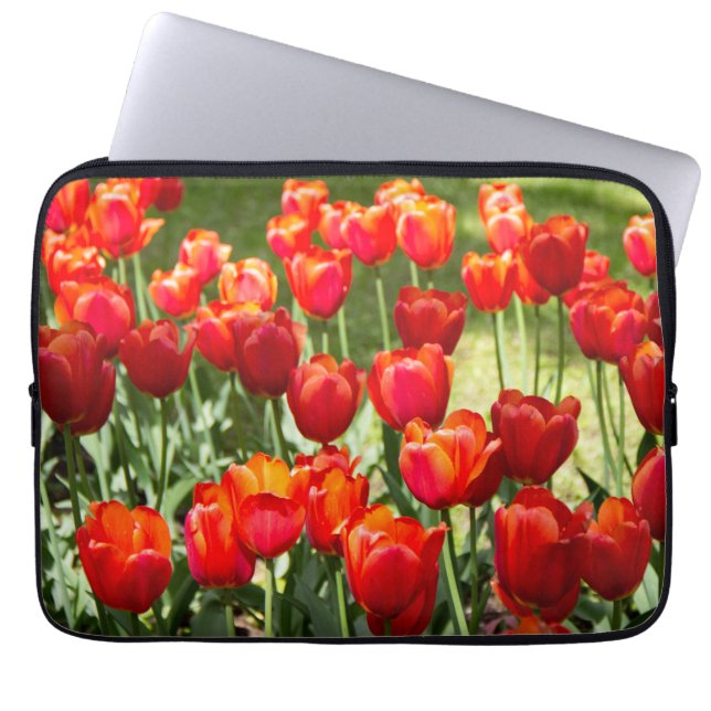 Housse Pour Ordinateur Portable Grand champ de tulipes rouges (Devant)