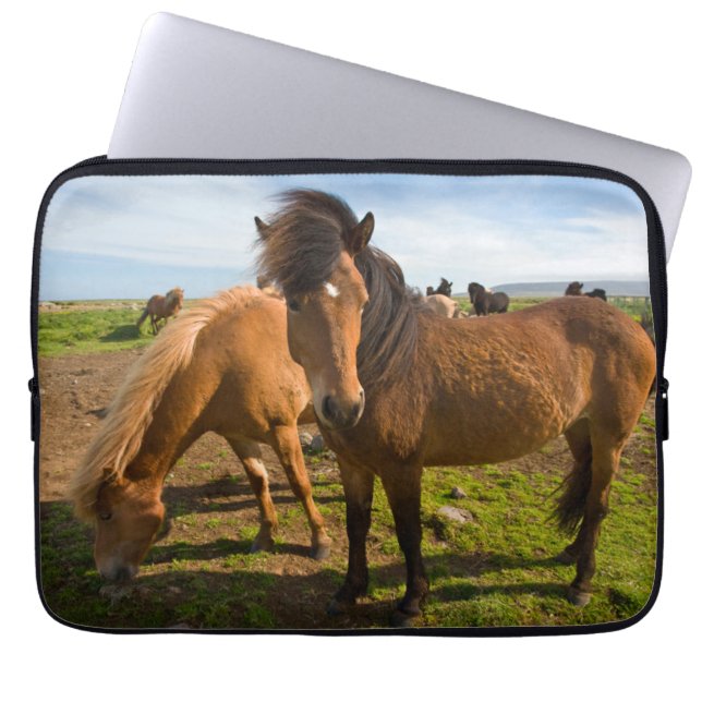 Housse Pour Ordinateur Portable Graze des chevaux islandais (Devant)