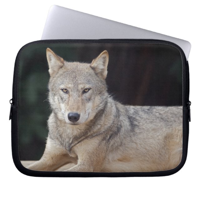 Housse pour ordinateur portable Grey Wolf (Devant)