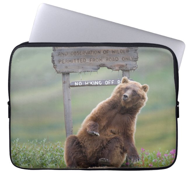 Housse Pour Ordinateur Portable Grizzly Bear Plays With Sign (Devant)