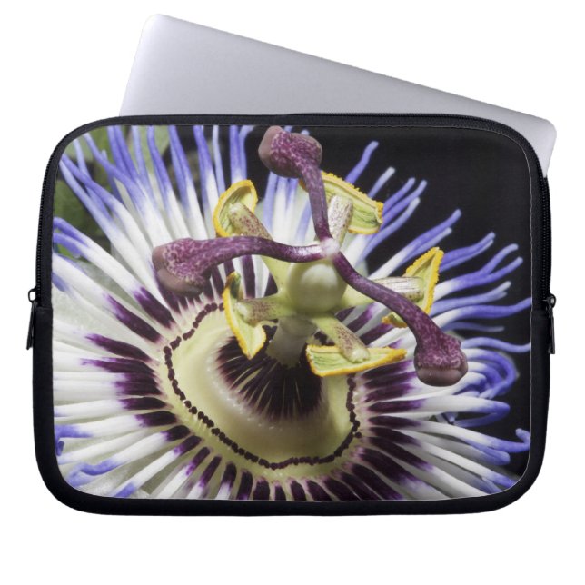 Housse Pour Ordinateur Portable Gros plan de Passionflower (MR) (Devant)