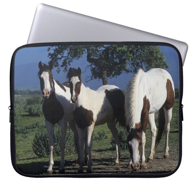 Housse Pour Ordinateur Portable Groupe de chevaux de peinture (Devant)