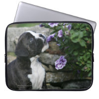 Halètement de chien de boxeur