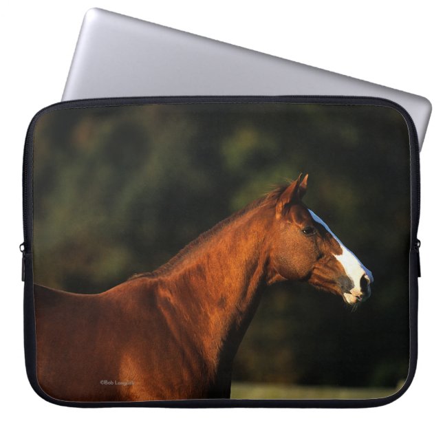 Housse Pour Ordinateur Portable Headshot de cheval de pur sang (Devant)
