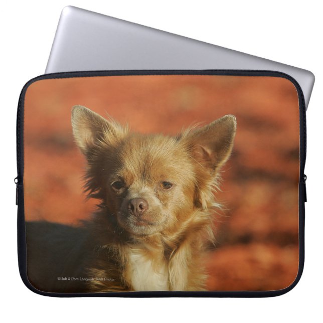 Housse Pour Ordinateur Portable Headshot de chiot de chiwawa (Devant)