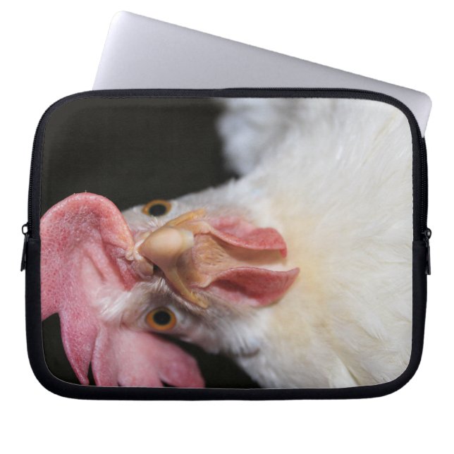 Housse Pour Ordinateur Portable Hen (Devant)