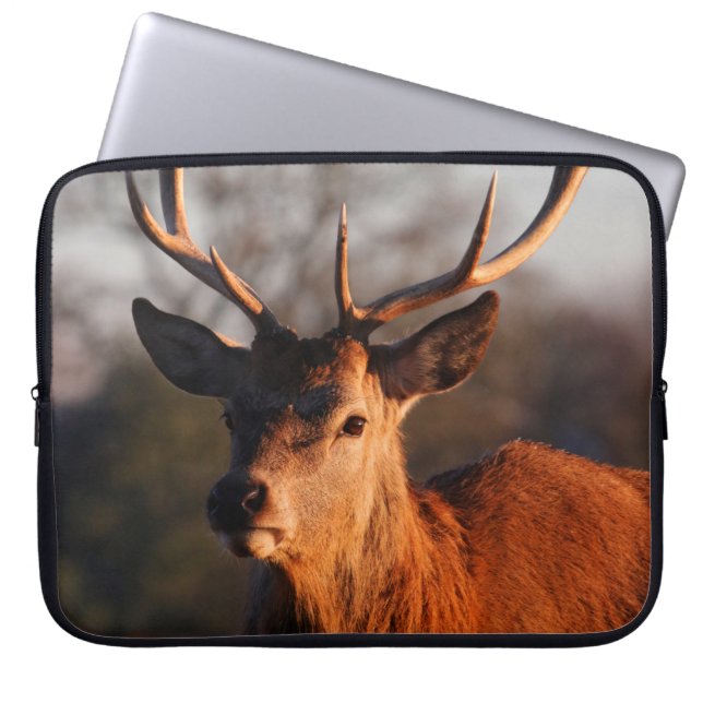 HOUSSE POUR ORDINATEUR PORTABLE HI DEER (Devant)