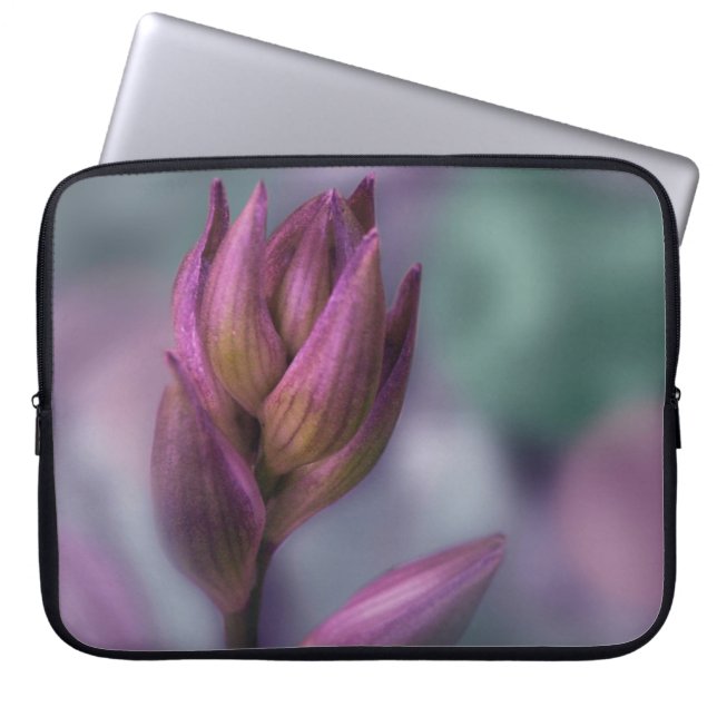 Housse Pour Ordinateur Portable Hosta Flower Buple Violet Et Vert (Devant)