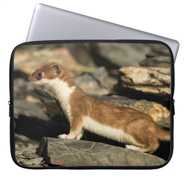 Housse Pour Ordinateur Portable Huile de chasse (Devant)